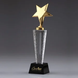 Gold Metal Star Crystal Award